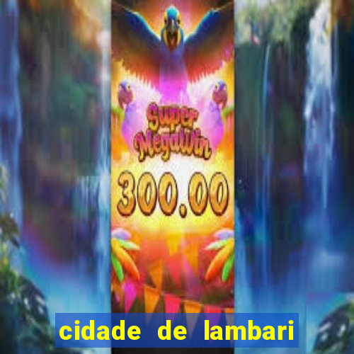 cidade de lambari sao paulo